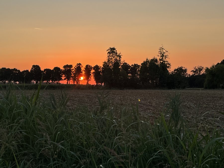Gadesco-Pieve Delmona, Cremona, Italia