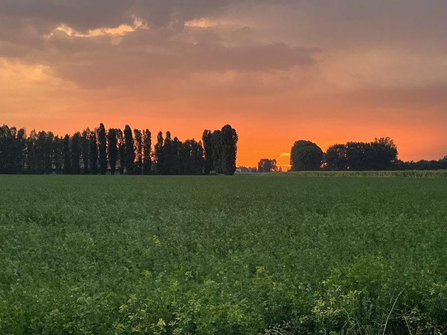 Gadesco-Pieve Delmona, Cremona, Italia