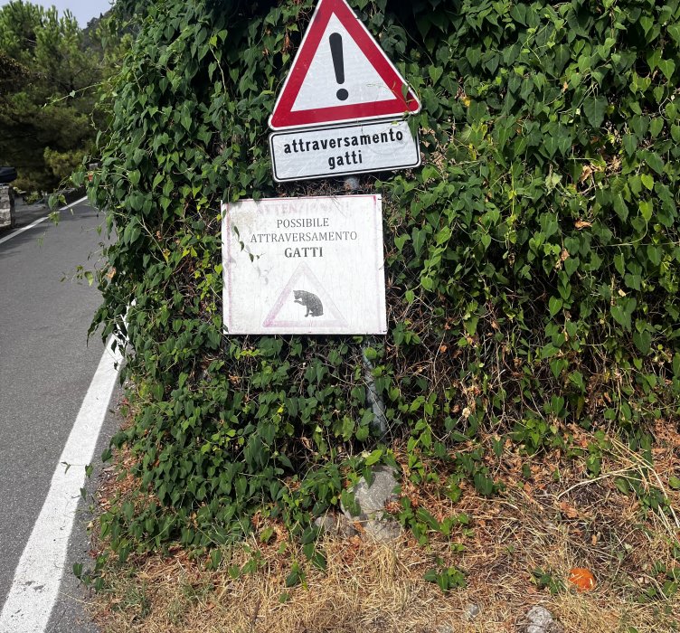 Monte Isola, Brescia, Italia