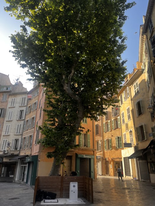 Tolone, Var, Francia