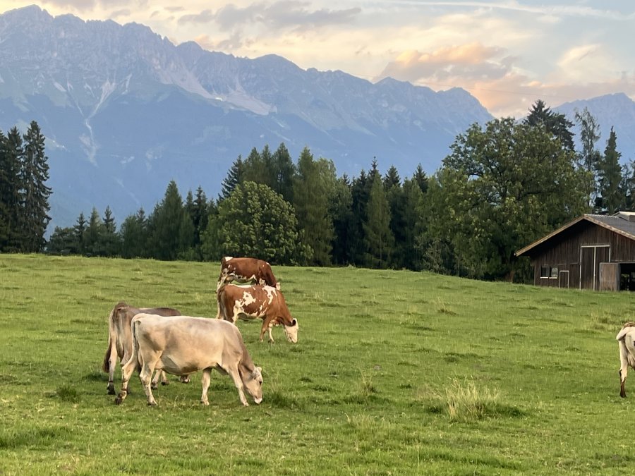 Natters, Bezirk Innsbruck-Land, Austria